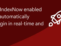 IndexNow-Protokoll für WordPress