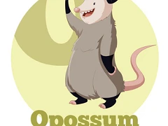 Opossum