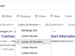 Google-Suchfilter Datum