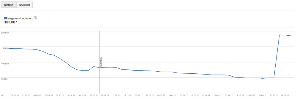 Google Indexierungsstatus - Beispiel 2