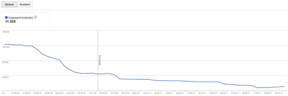 Googe Indexierungsstatus - Beispiel 3