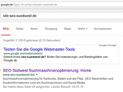 Google Site-Suche nach seo-suedwest.de