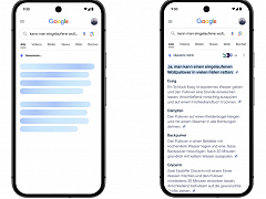Google AI Overviews