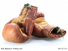 Boxhandschuhe