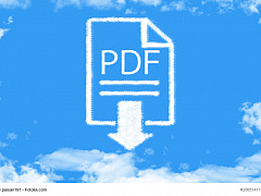 PDF