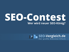 SEO-Contest 2022