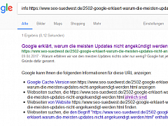 Beispiel für eine Google-Suche mit Info-Operator