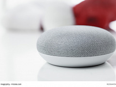 Home Assistant