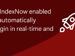IndexNow-Protokoll für WordPress